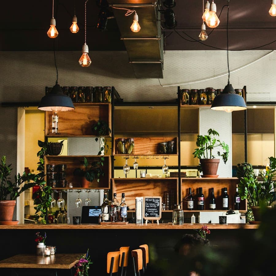 The bar, the plants, the lights