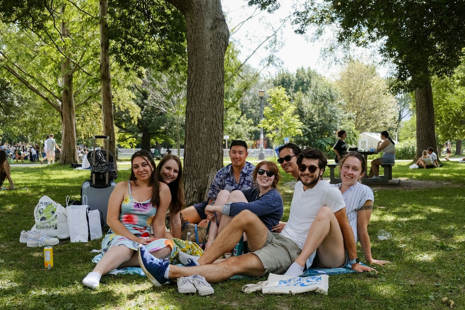 A group sitting in a lush park