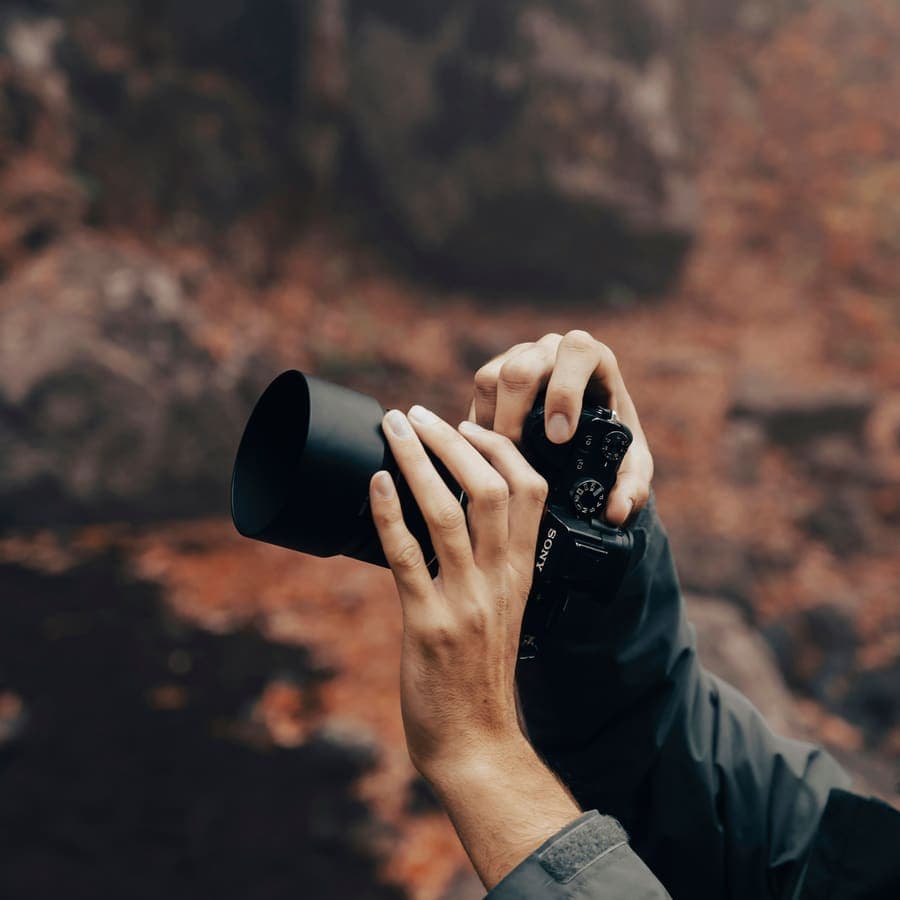 Hands holding a camera in a forest